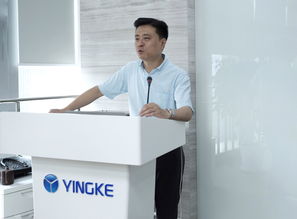 盈科律師事務(wù)所 重慶分所的專業(yè)法律支持與卓越服務(wù)